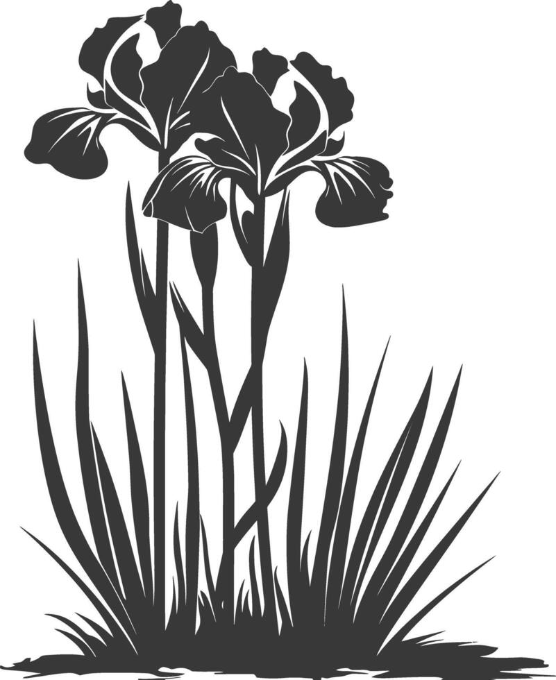 AI generated Silhouette iris flower in the ground black color only vector