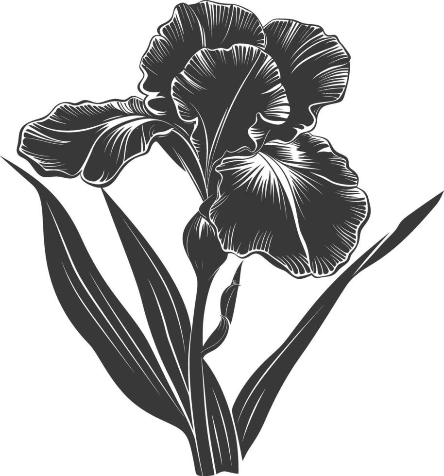 AI generated Silhouette iris flower black color only vector