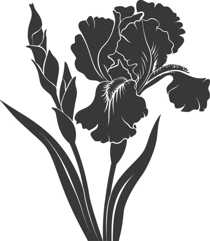 AI generated Silhouette iris flower black color only vector