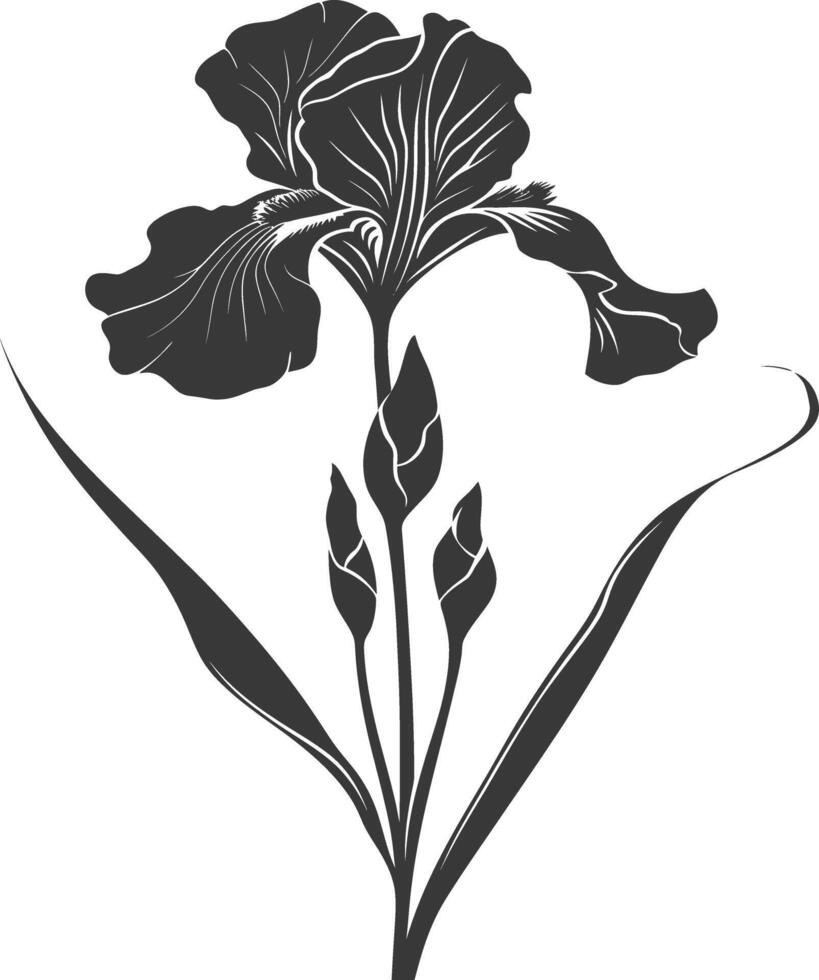 AI generated Silhouette iris flower black color only vector