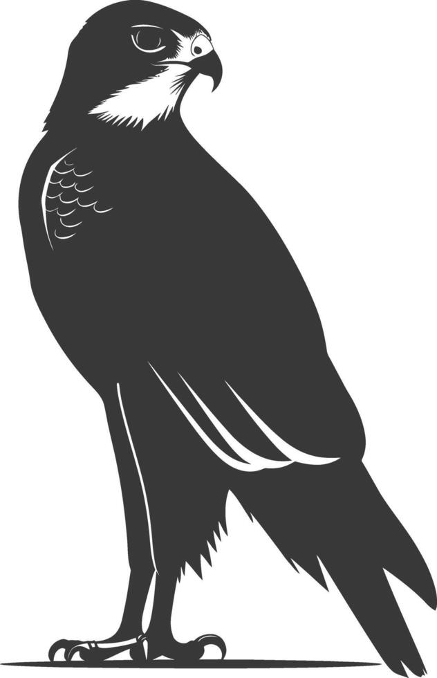 AI generated Silhouette hawk animal black color only full body vector