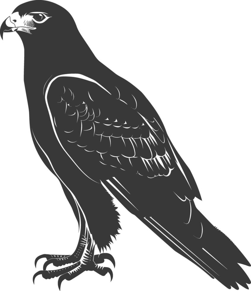 AI generated Silhouette hawk animal black color only full body vector