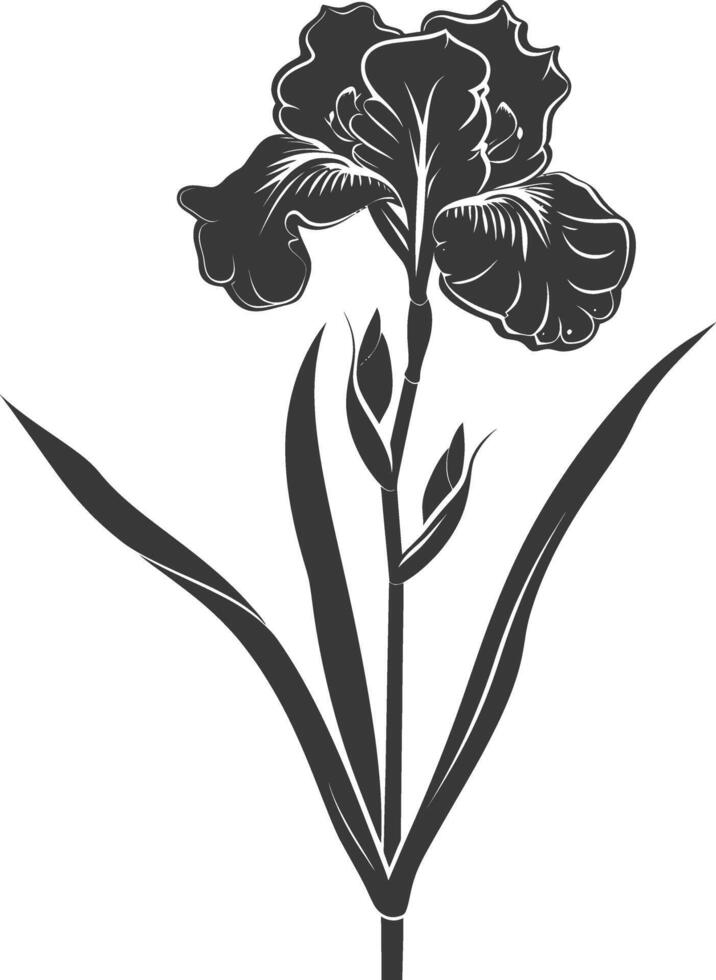 AI generated Silhouette iris flower black color only vector