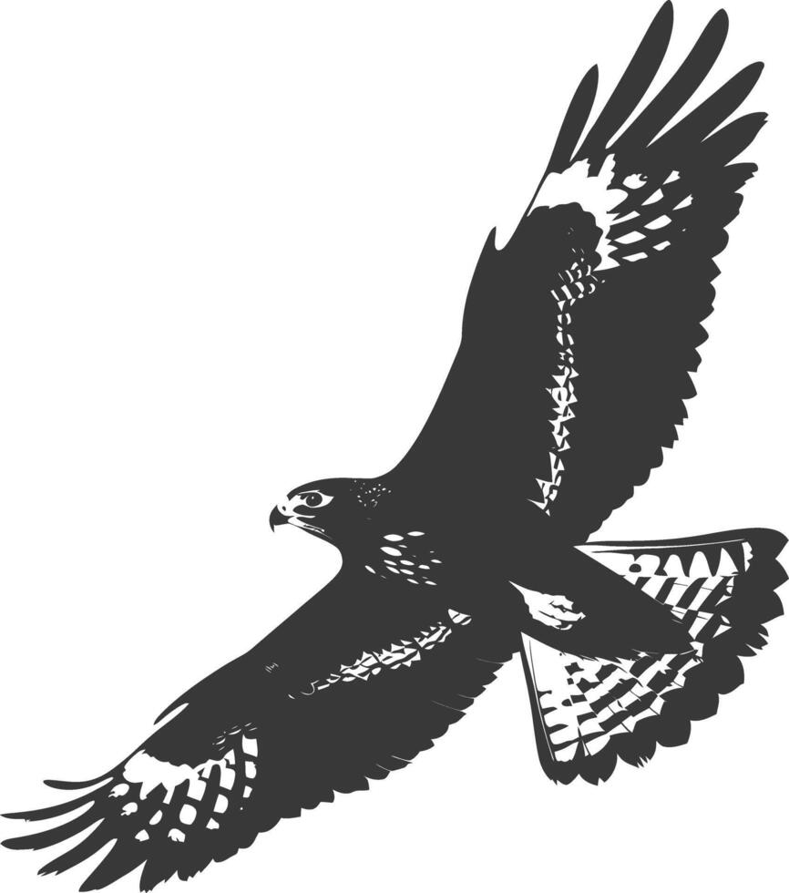 AI generated Silhouette hawk animal fly black color only full body vector