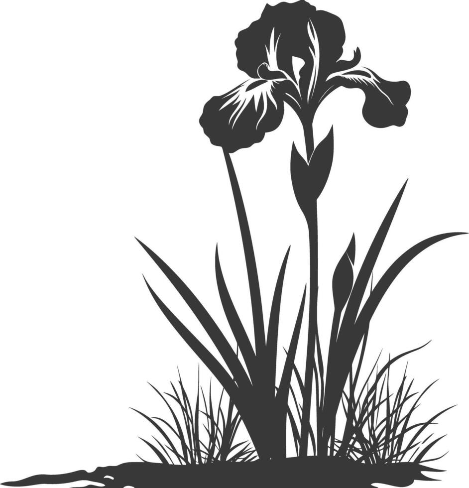 AI generated Silhouette iris flower in the ground black color only vector