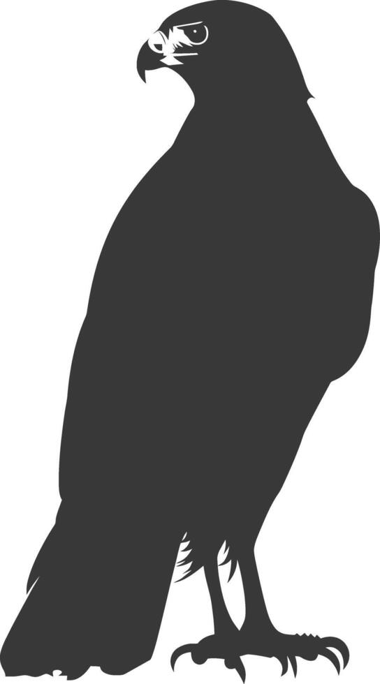 AI generated Silhouette hawk animal black color only full body vector