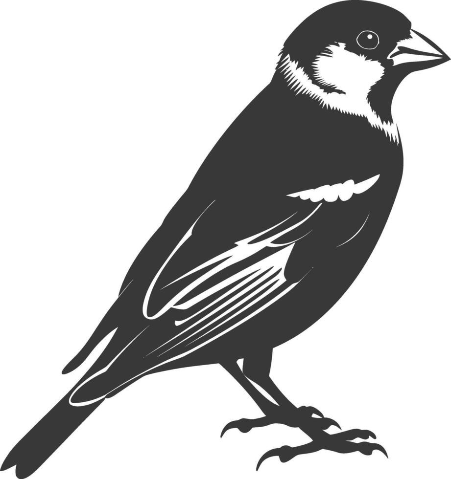 AI generated Silhouette House sparrow bird animal black color only vector