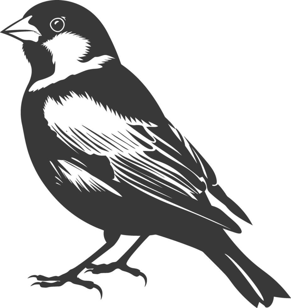 AI generated Silhouette House sparrow bird animal black color only vector