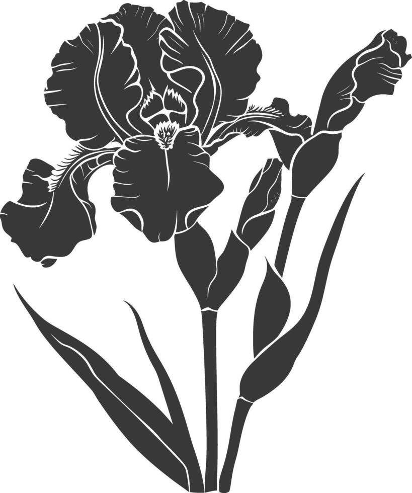 AI generated Silhouette iris flower black color only vector