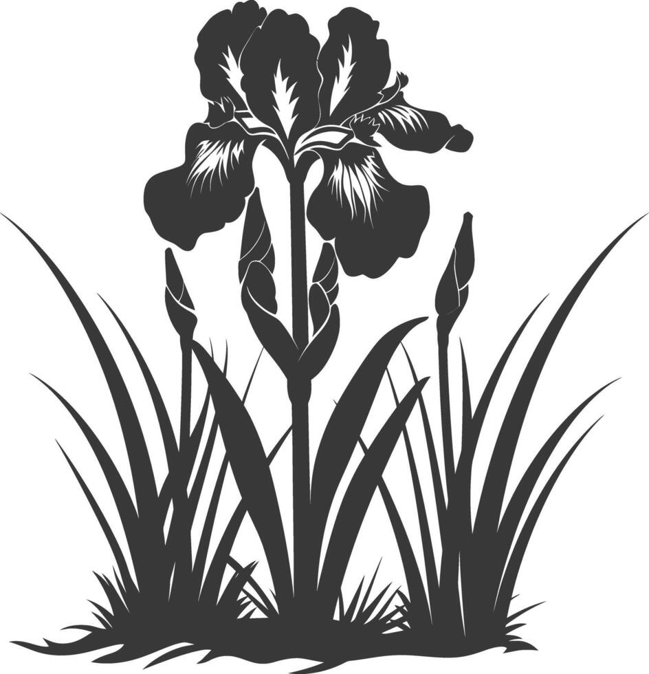 AI generated Silhouette iris flower in the ground black color only vector