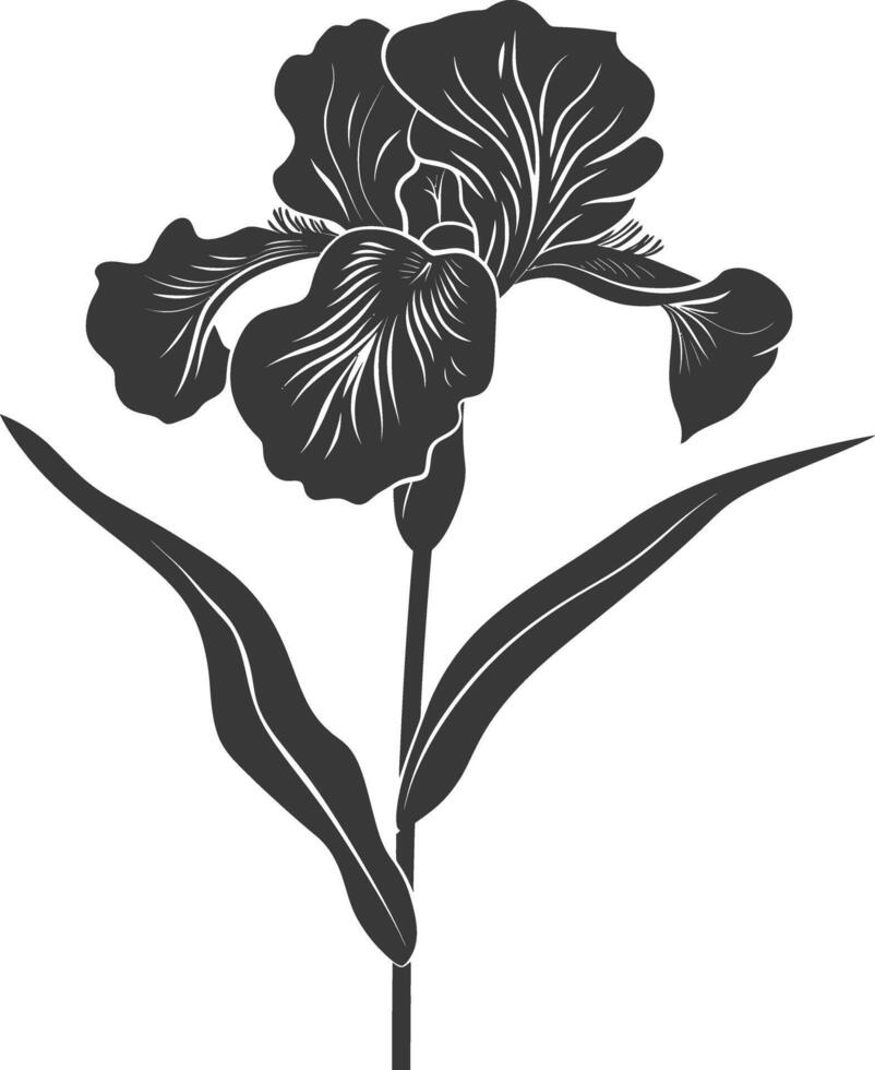 AI generated Silhouette iris flower black color only vector