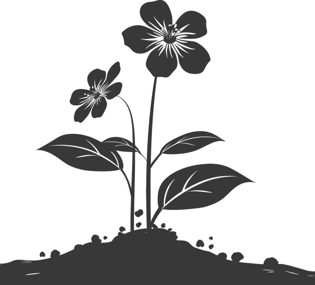 AI generated Silhouette jasmin flower in the ground black color only vector