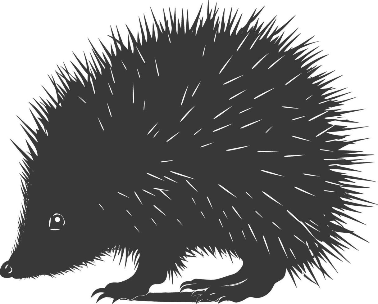 AI generated Silhouette Hedgehog animal black color only full body vector
