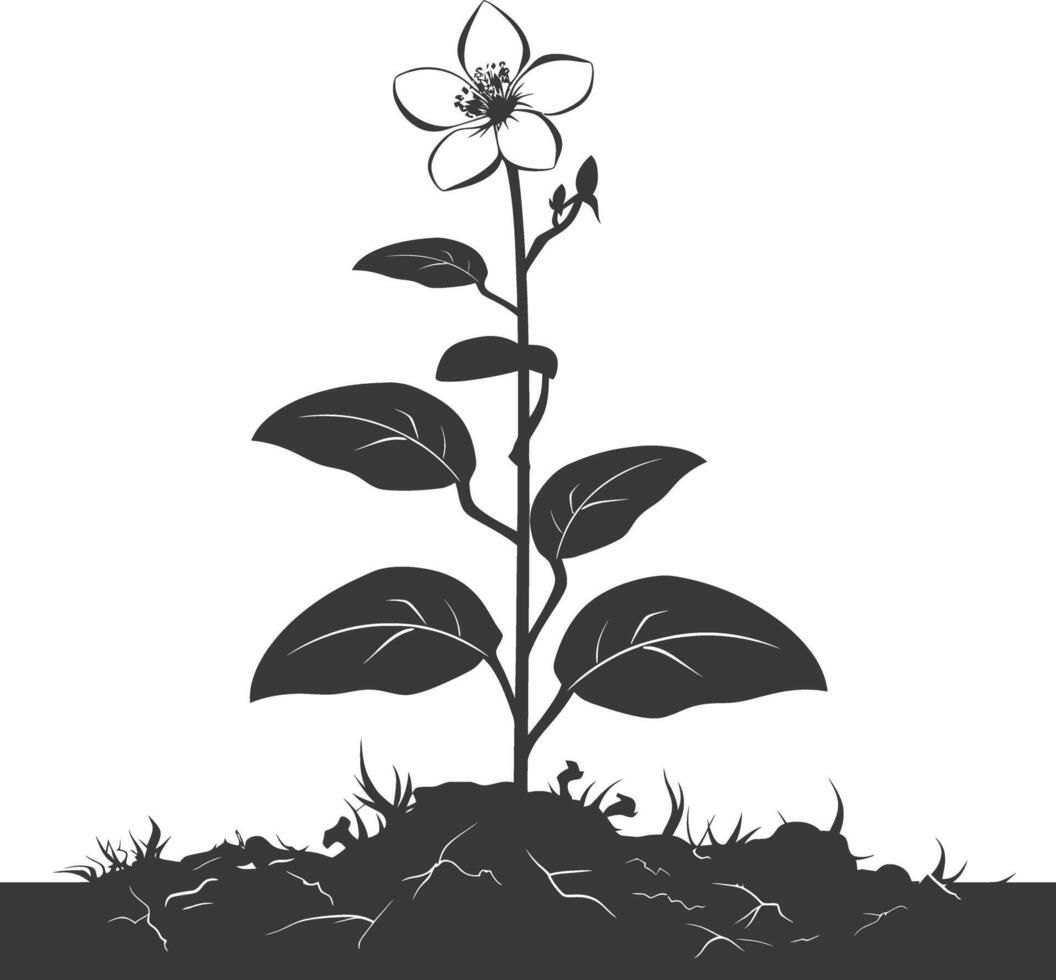 AI generated Silhouette jasmin flower in the ground black color only vector