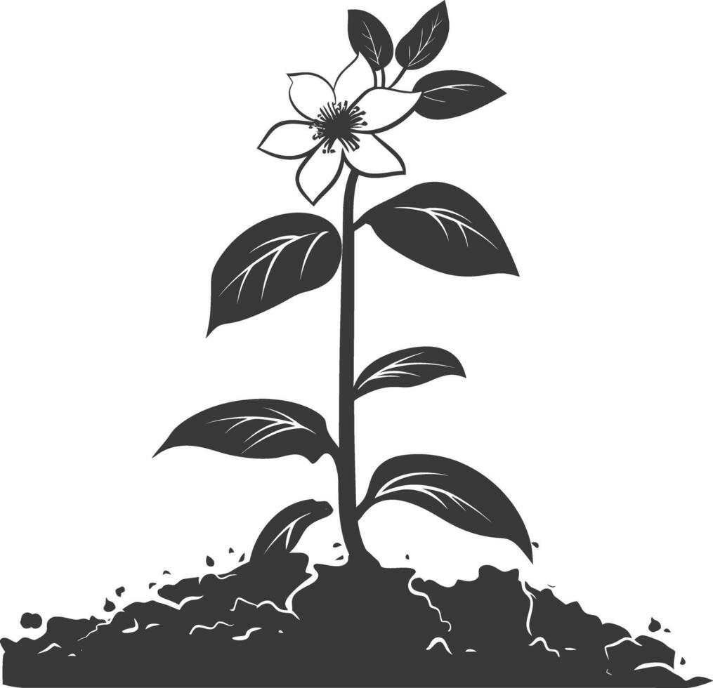 AI generated Silhouette jasmin flower in the ground black color only vector