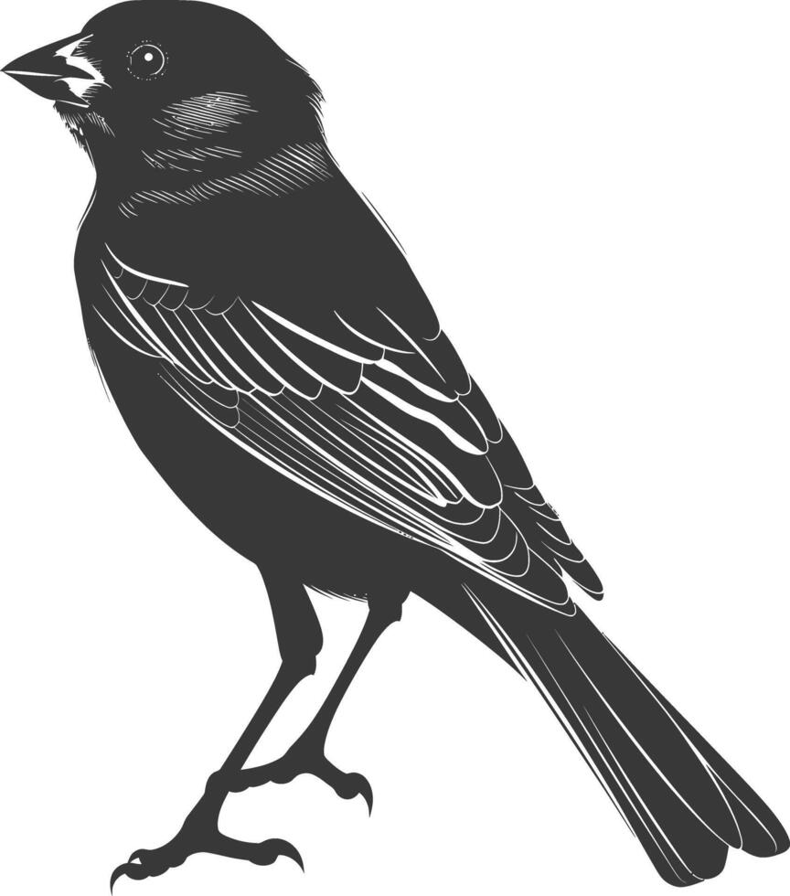 AI generated Silhouette House sparrow bird animal fly black color only vector