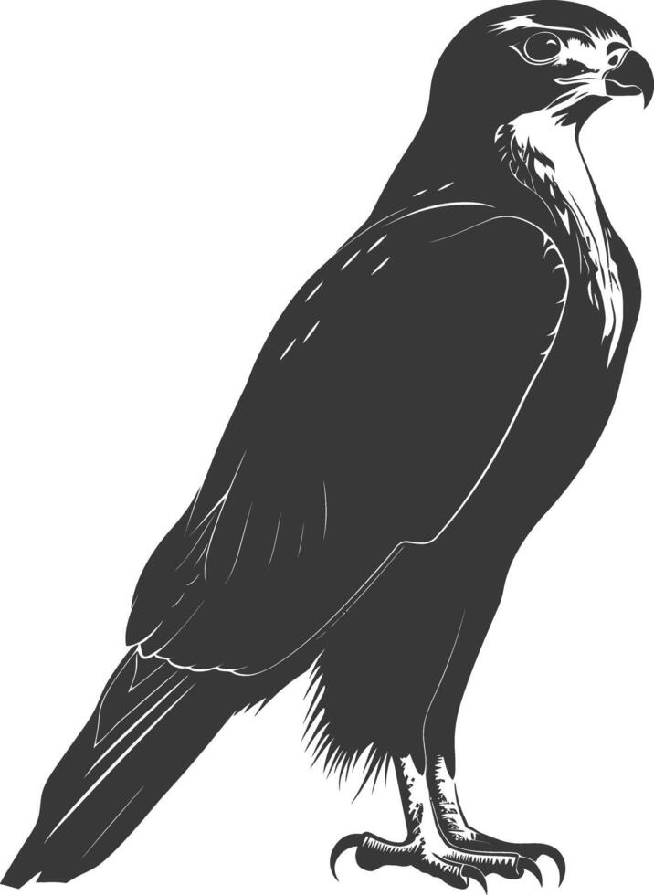 AI generated Silhouette hawk animal black color only full body vector