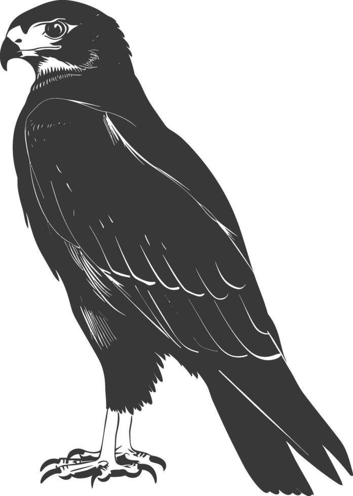 ai generado silueta halcón animal negro color solamente lleno cuerpo vector