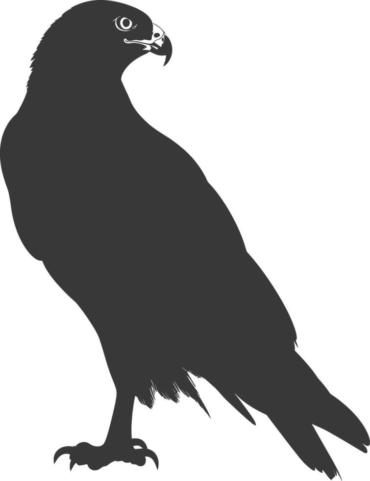 AI generated Silhouette hawk animal black color only full body vector