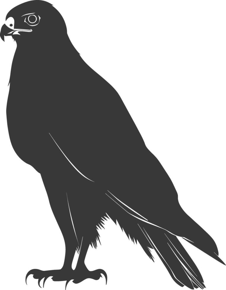 AI generated Silhouette hawk animal black color only full body vector