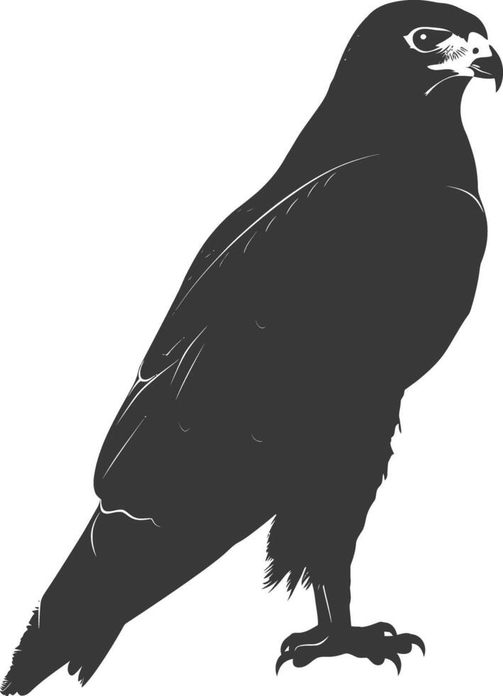 AI generated Silhouette hawk animal black color only full body vector