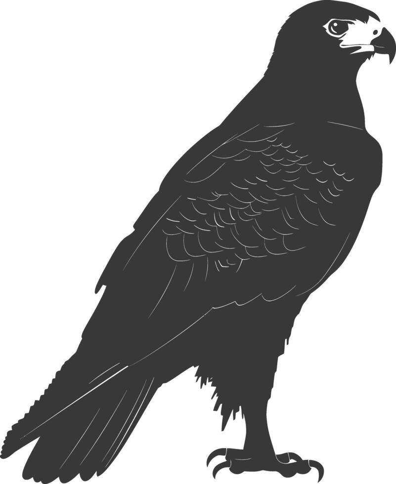 AI generated Silhouette hawk animal black color only full body vector