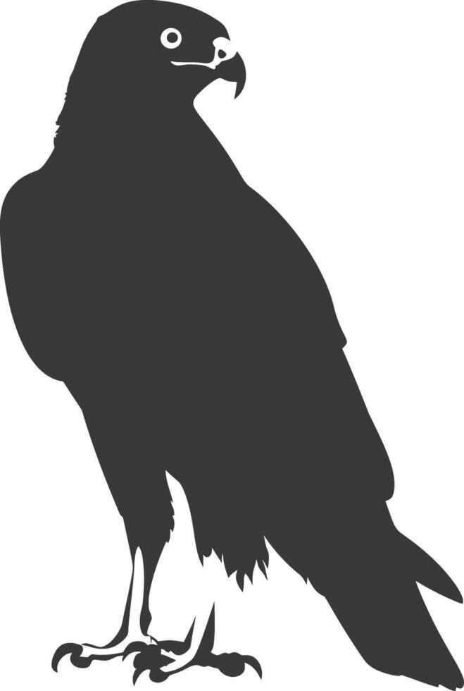 AI generated Silhouette hawk animal black color only full body vector