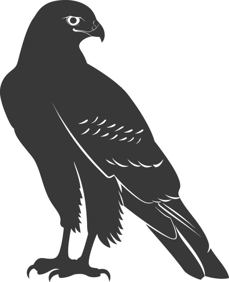 AI generated Silhouette hawk animal black color only full body vector