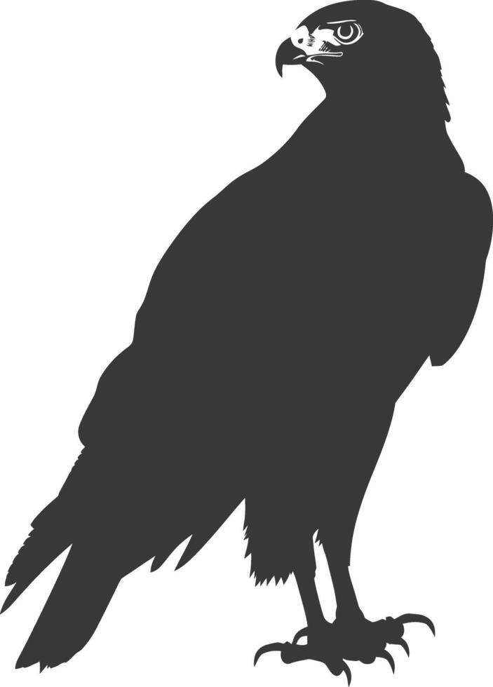 AI generated Silhouette hawk animal black color only full body vector