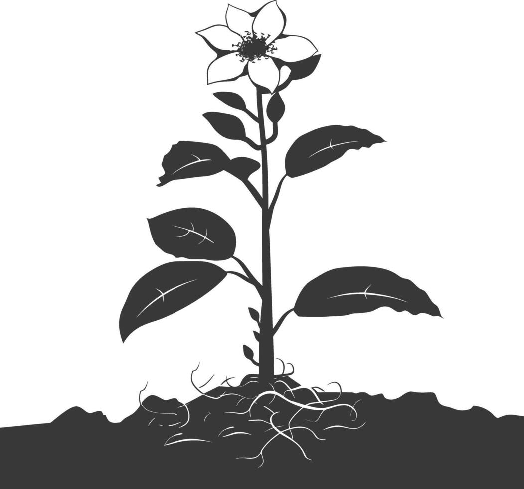 AI generated Silhouette jasmin flower in the ground black color only vector