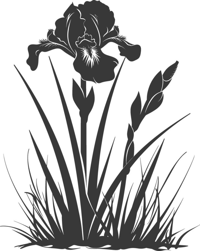 AI generated Silhouette iris flower in the ground black color only vector