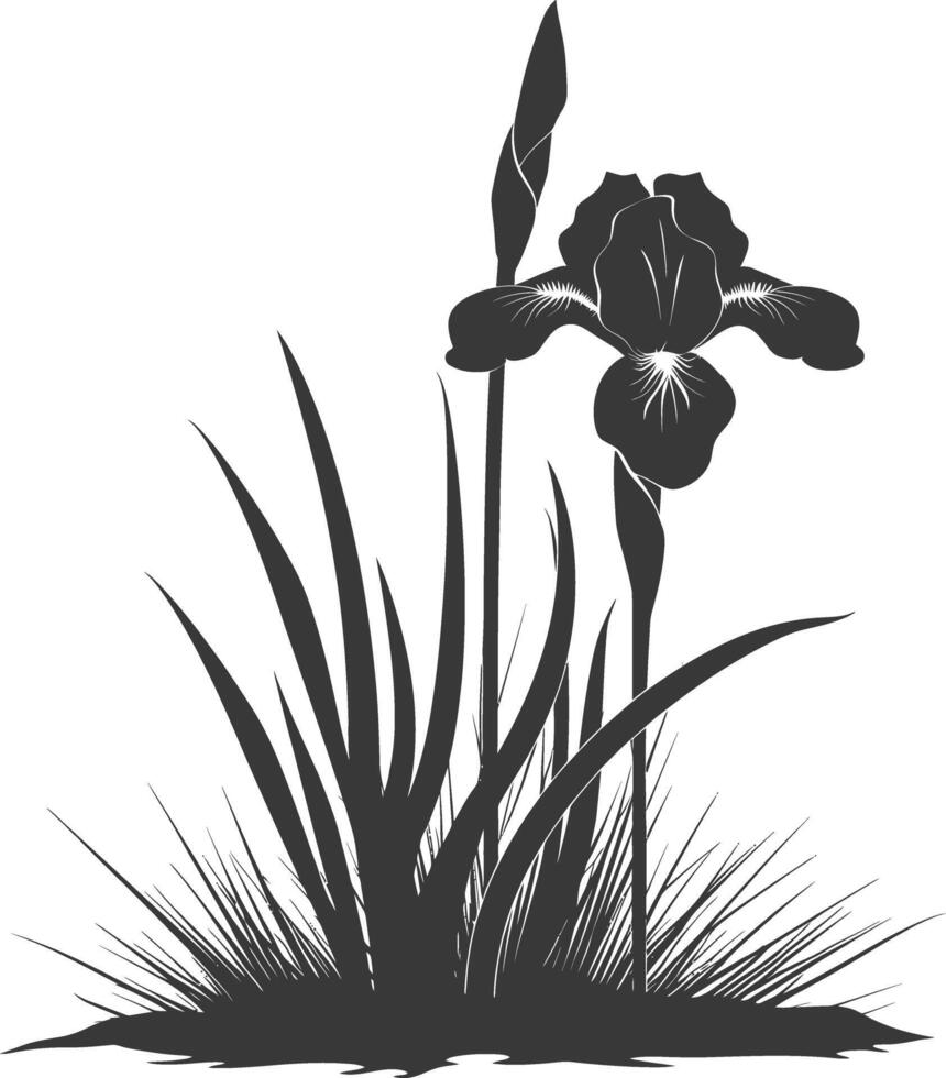 AI generated Silhouette iris flower in the ground black color only vector