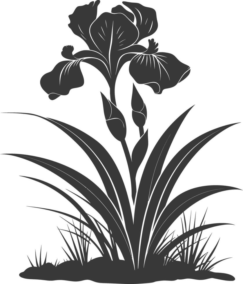 AI generated Silhouette iris flower in the ground black color only vector