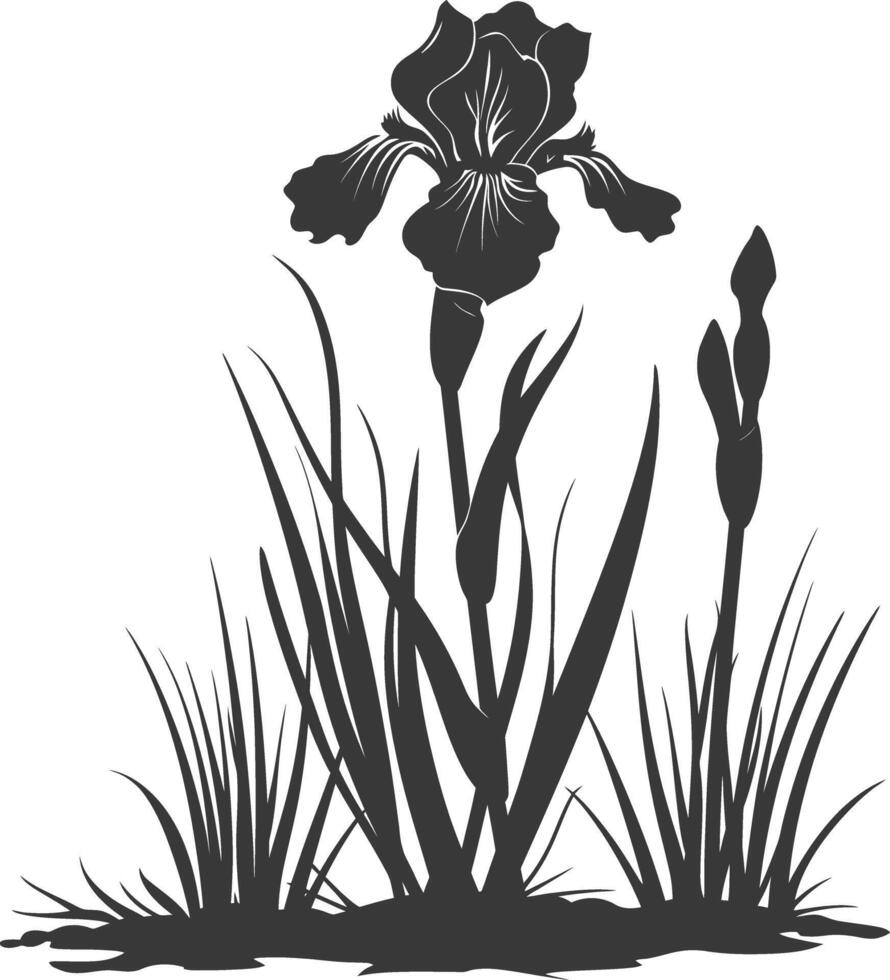 AI generated Silhouette iris flower in the ground black color only vector