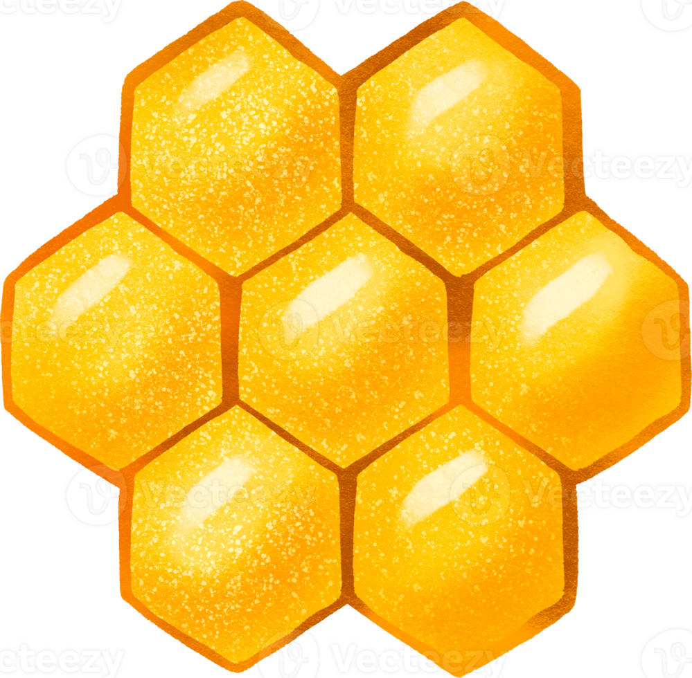 Honey isolated illustration png