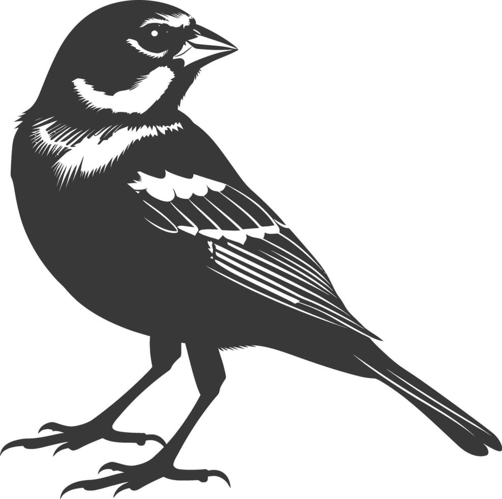 AI generated Silhouette House sparrow bird animal black color only vector
