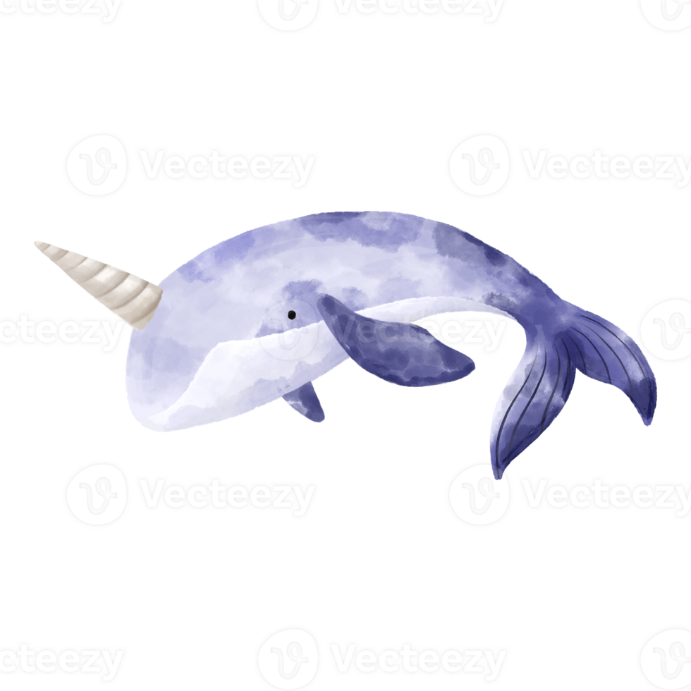 Watercolor whale. Fishes and the underwater world. Cute baby illustration on isolated background png