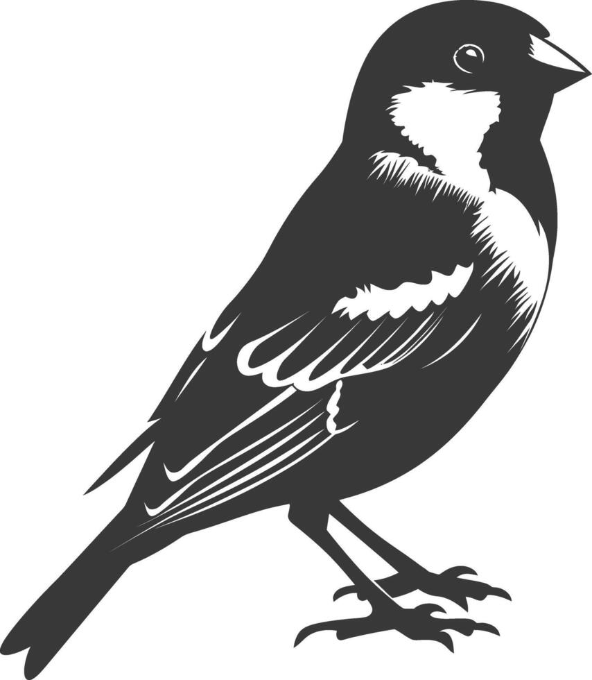 AI generated Silhouette House sparrow bird animal black color only vector