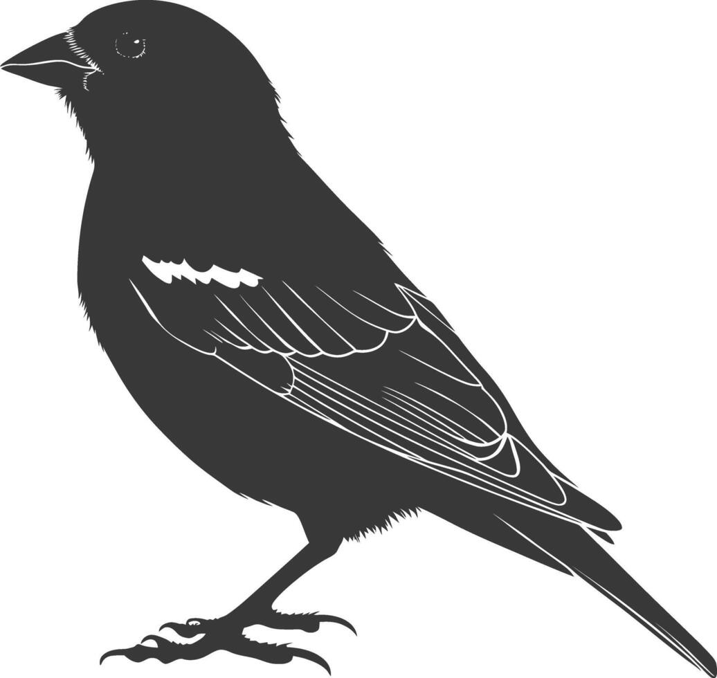 AI generated Silhouette House sparrow bird animal black color only vector