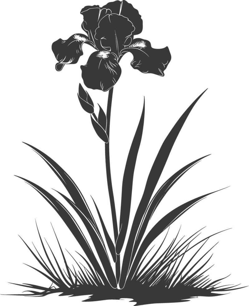 AI generated Silhouette iris flower in the ground black color only vector