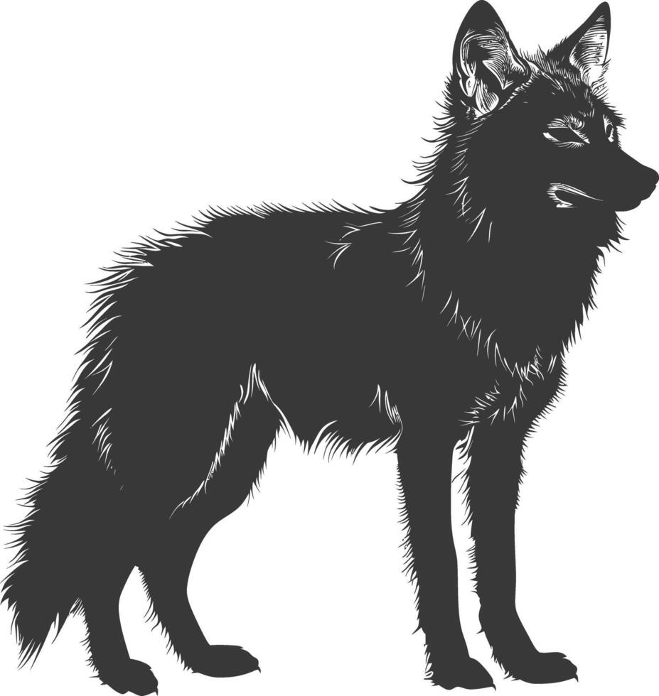 AI generated Silhouette coyote animal black color only full body vector