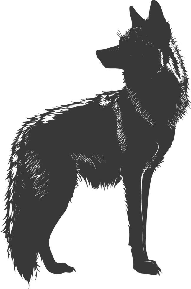 AI generated Silhouette coyote animal black color only full body vector