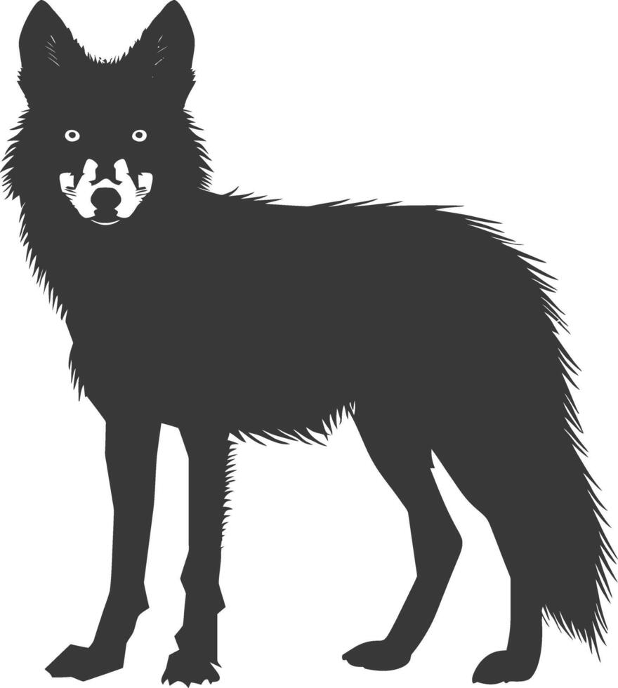 AI generated Silhouette coyote animal black color only full body vector