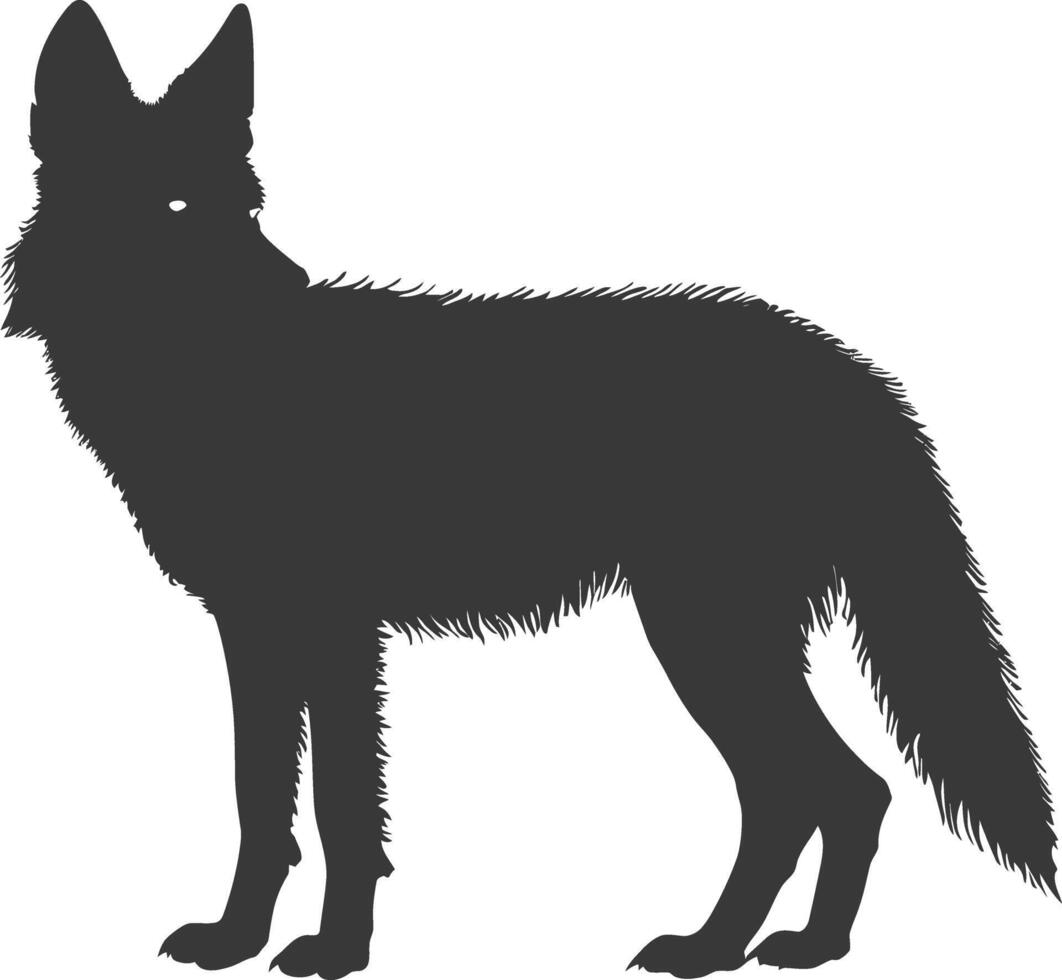 AI generated Silhouette coyote animal black color only full body vector