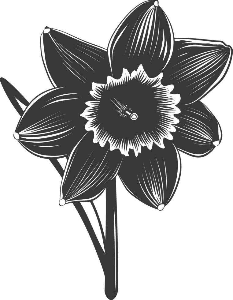 AI generated Silhouette daffodil flower black color only vector