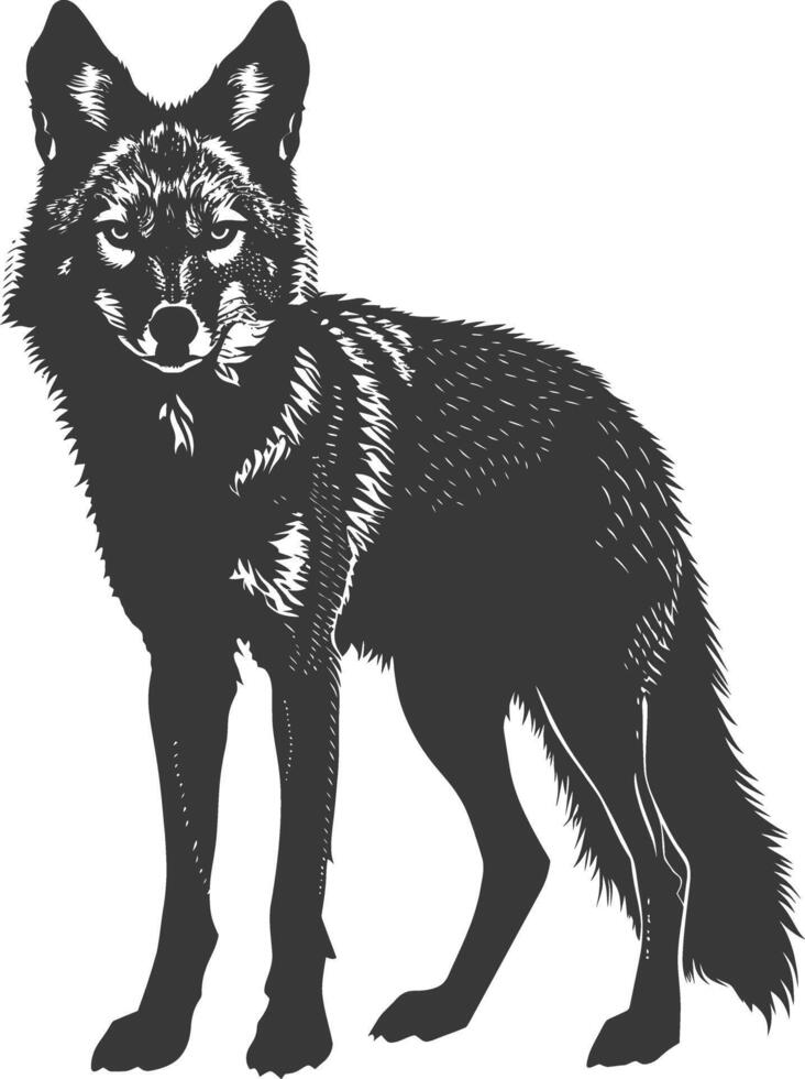AI generated Silhouette coyote animal black color only full body vector