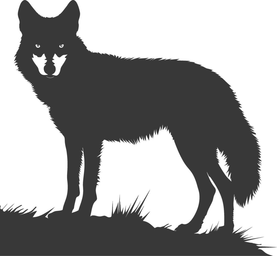 AI generated Silhouette coyote animal black color only full body vector