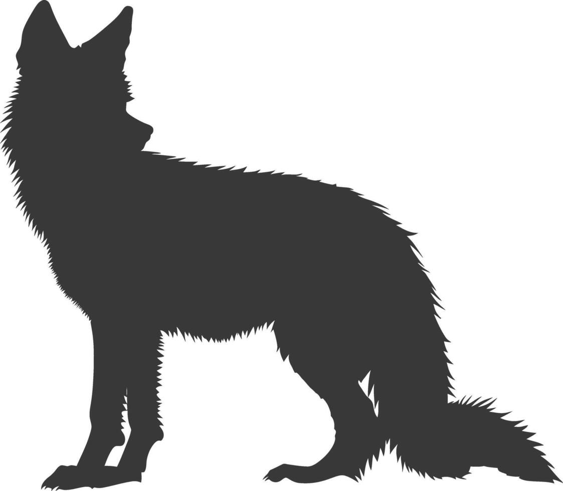 AI generated Silhouette coyote animal black color only full body vector