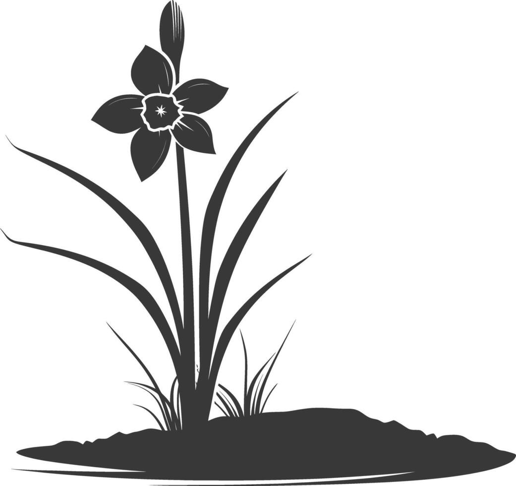 AI generated Silhouette daffodil flower in the ground black color only vector