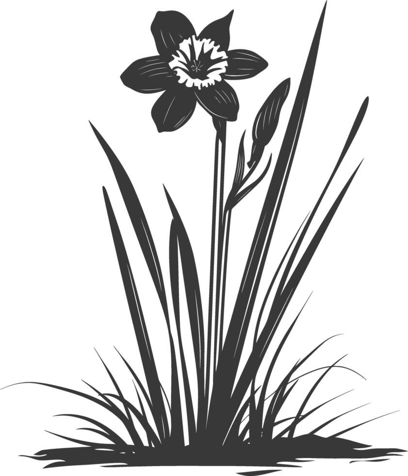 ai generado silueta narciso flor en el suelo negro color solamente vector